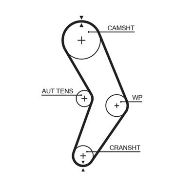 Ремінь ГРМ Renault Kangoo 1.4/1.6i 08-