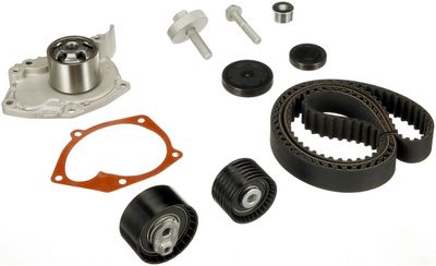 Комплект ГРМ (+помпа) Renault Megane II/III/Clio III/Scenic II/Trafic 2.0 16V 01- (27x126z)