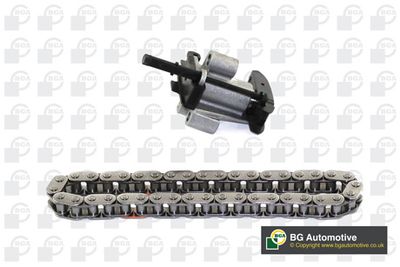 Ланцюг приводу ГРМ (к-кт) Mondeo/C5/C6 2.2 TDCi/HDi 06-