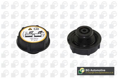 Кришка розшир.бачка радіатора Audi A4/Fiesta/Focus/Transit 1.0-4.4 99-