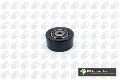 Ролик ременя генератора (натяжний) Berlingo/Jumpy/Partner 1.9 D 98-15