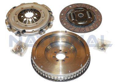 Комплект для переобладнання Megane II/Scenic II/Grand Scenic II 1.9dCi 02- (240mm)